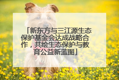新东方与三江源生态保护基金会达成战略合作，共绘生态保护与教育公益新蓝图