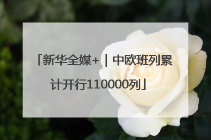新华全媒+｜中欧班列累计开行110000列