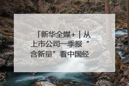 新华全媒+｜从上市公司一季报“含新量”看中国经济发展向“新”