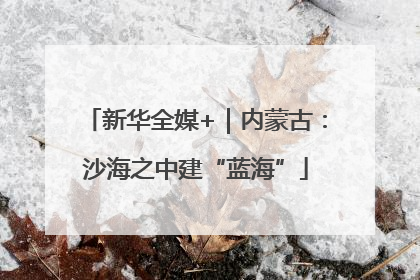 新华全媒+｜内蒙古：沙海之中建“蓝海”