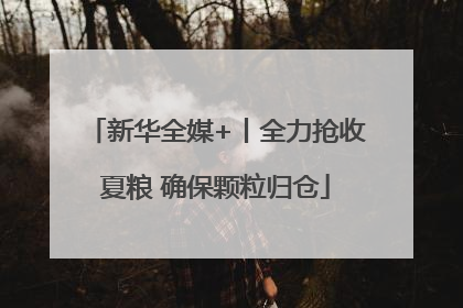 新华全媒+丨全力抢收夏粮 确保颗粒归仓