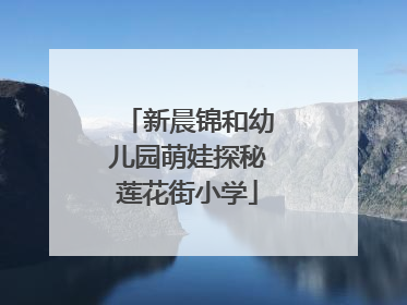 新晨锦和幼儿园萌娃探秘莲花街小学