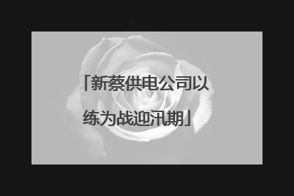 新蔡供电公司以练为战迎汛期