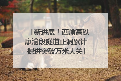 新进展！西渝高铁康渝段隧道正洞累计掘进突破万米大关