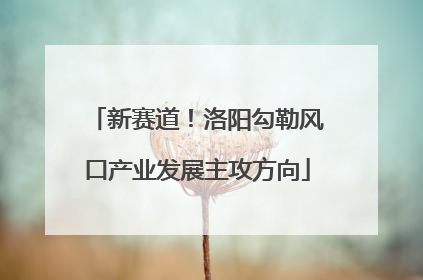 新赛道！洛阳勾勒风口产业发展主攻方向