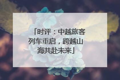 时评：中越旅客列车重启，跨越山海共赴未来