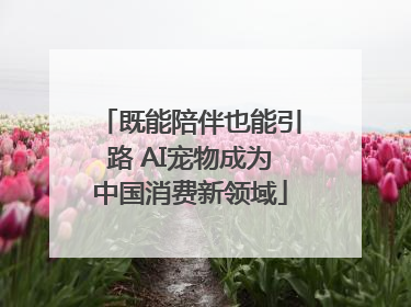 既能陪伴也能引路 AI宠物成为中国消费新领域