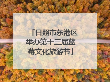 日照市东港区举办第十三届蓝莓文化旅游节
