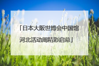 日本大阪世博会中国馆河北活动周精彩启幕