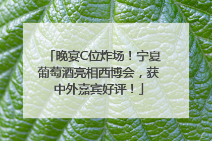 晚宴C位炸场！宁夏葡萄酒亮相西博会，获中外嘉宾好评！
