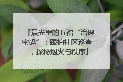 晨光里的五福“治理密码”：跟拍社区巡查，探秘烟火与秩序