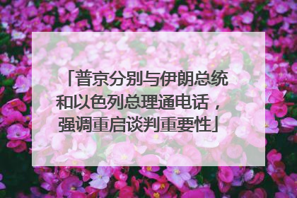普京分别与伊朗总统和以色列总理通电话，强调重启谈判重要性