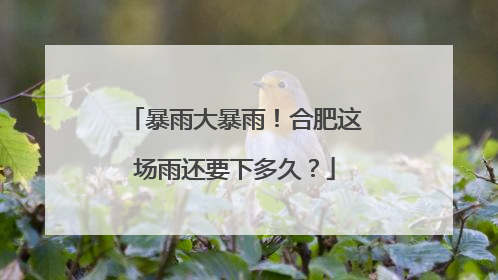 暴雨大暴雨！合肥这场雨还要下多久？