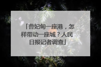 曹妃甸一座港，怎样带动一座城？人民日报记者调查