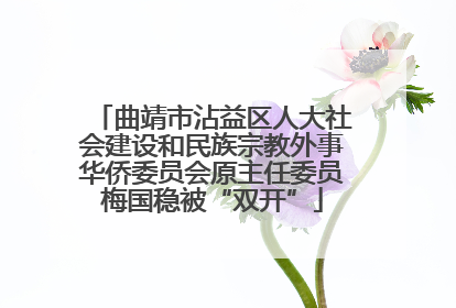 曲靖市沾益区人大社会建设和民族宗教外事华侨委员会原主任委员梅国稳被“双开”
