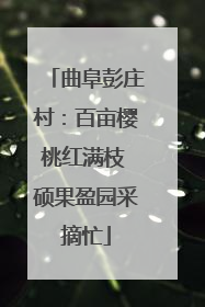 曲阜彭庄村：百亩樱桃红满枝 硕果盈园采摘忙