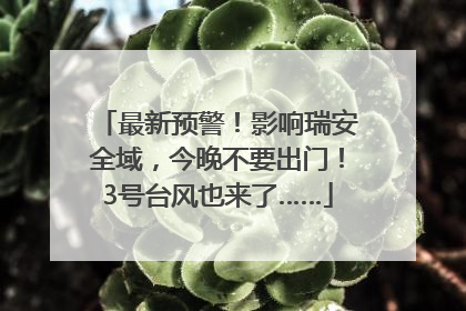 最新预警！影响瑞安全域，今晚不要出门！3号台风也来了……