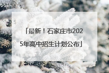 最新！石家庄市2025年高中招生计划公布