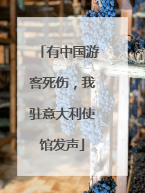 有中国游客死伤，我驻意大利使馆发声