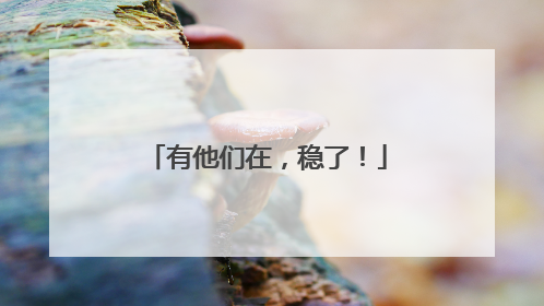 有他们在，稳了！