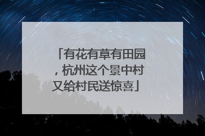 有花有草有田园，杭州这个景中村又给村民送惊喜