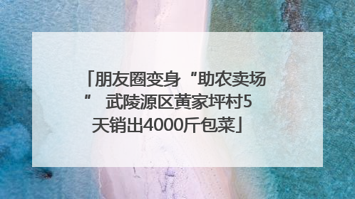 朋友圈变身“助农卖场” 武陵源区黄家坪村5天销出4000斤包菜