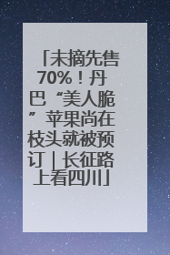 未摘先售70%！丹巴“美人脆”苹果尚在枝头就被预订｜长征路上看四川