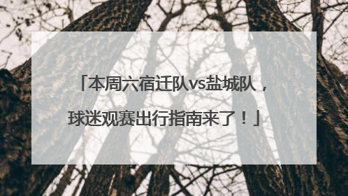本周六宿迁队vs盐城队，球迷观赛出行指南来了！