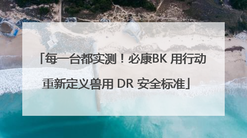每一台都实测！必康BK 用行动重新定义兽用 DR 安全标准