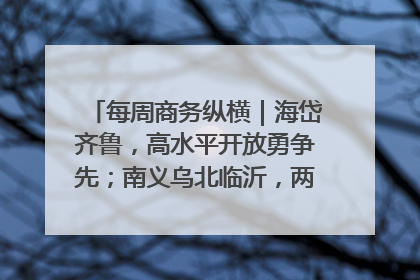 每周商务纵横｜海岱齐鲁，高水平开放勇争先；南义乌北临沂，两扇窗里观外贸