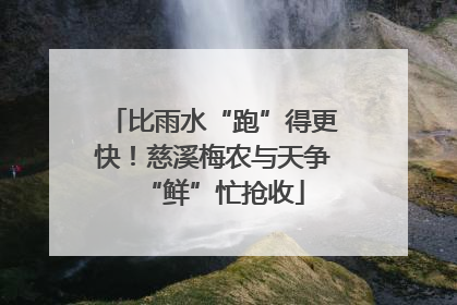 比雨水“跑”得更快！慈溪梅农与天争“鲜”忙抢收