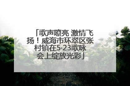 歌声嘹亮 激情飞扬！威海市环翠区张村镇在5·23歌咏会上绽放光彩
