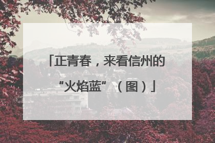 正青春，来看信州的“火焰蓝”（图）