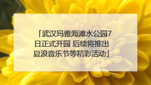 武汉玛雅海滩水公园7日正式开园 后续将推出夏浪音乐节等精彩活动