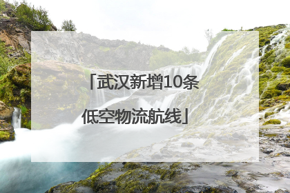 武汉新增10条低空物流航线