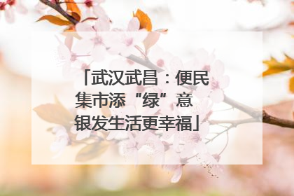 武汉武昌：便民集市添“绿”意 银发生活更幸福
