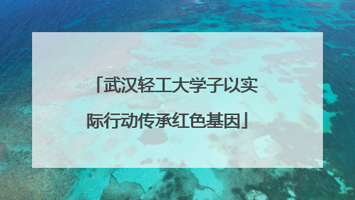 武汉轻工大学子以实际行动传承红色基因