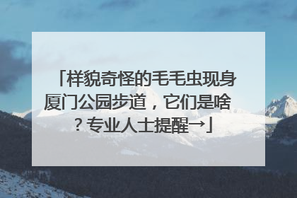 样貌奇怪的毛毛虫现身厦门公园步道，它们是啥？专业人士提醒→
