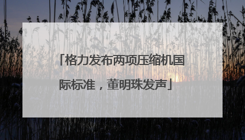 格力发布两项压缩机国际标准，董明珠发声