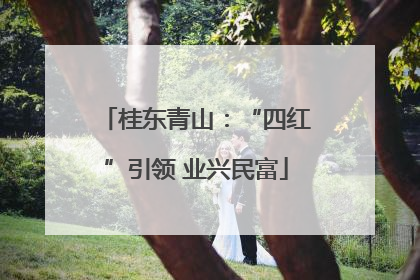 桂东青山：“四红”引领 业兴民富