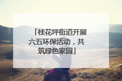 桂花坪街道开展六五环保活动，共筑绿色家园