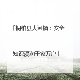 桐柏县大河镇：安全知识浸润千家万户