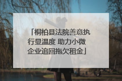 桐柏县法院善意执行显温度 助力小微企业追回拖欠租金