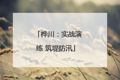 桦川：实战演练 筑堤防汛