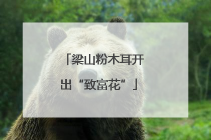 梁山粉木耳开出“致富花”