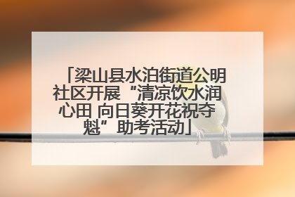 梁山县水泊街道公明社区开展“清凉饮水润心田 向日葵开花祝夺魁”助考活动