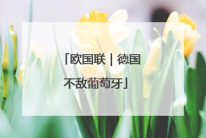 欧国联｜德国不敌葡萄牙