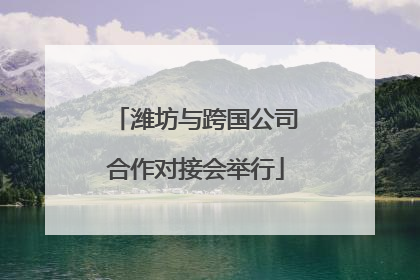 潍坊与跨国公司合作对接会举行