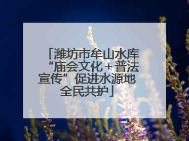 潍坊市牟山水库“庙会文化＋普法宣传”促进水源地全民共护