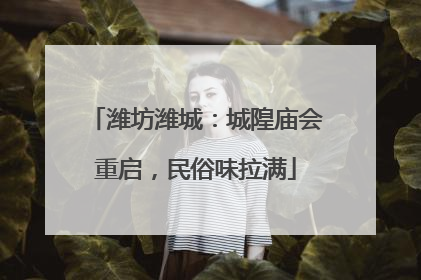 潍坊潍城：城隍庙会重启，民俗味拉满